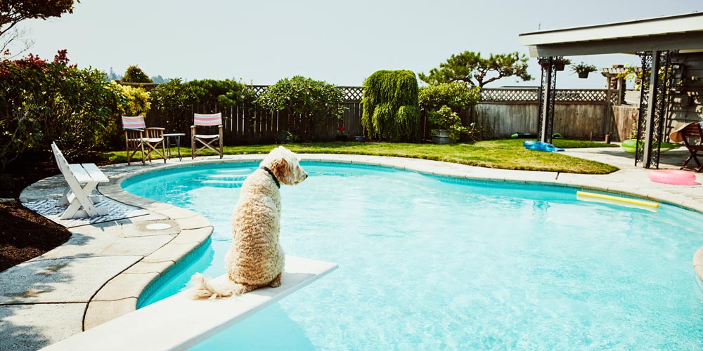 Was beim Pool im eigenen Garten zu beachten ist